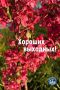 #Избирком57. #ОрелОблизбирком
