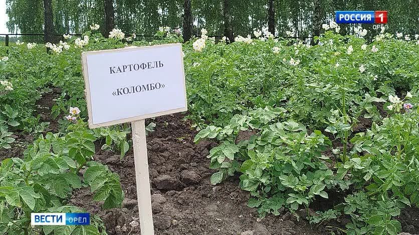 Сегодня во время рабочего визита в Знаменскую среднюю общеобразовательную школу Александр Бирюков осмотрел классы и оснащение учебных кабинетов Сегодня во время рабочего визита в Знаменскую среднюю общеобразовательную школу Александр Бирюков осмотрел классы и оснащение учебных кабинетов