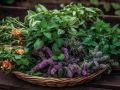 Как любисток может изменить ваше представление о вкусах и здоровье