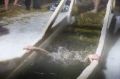 Тёплый напиток для холодных зим: что выбрать после крещения?