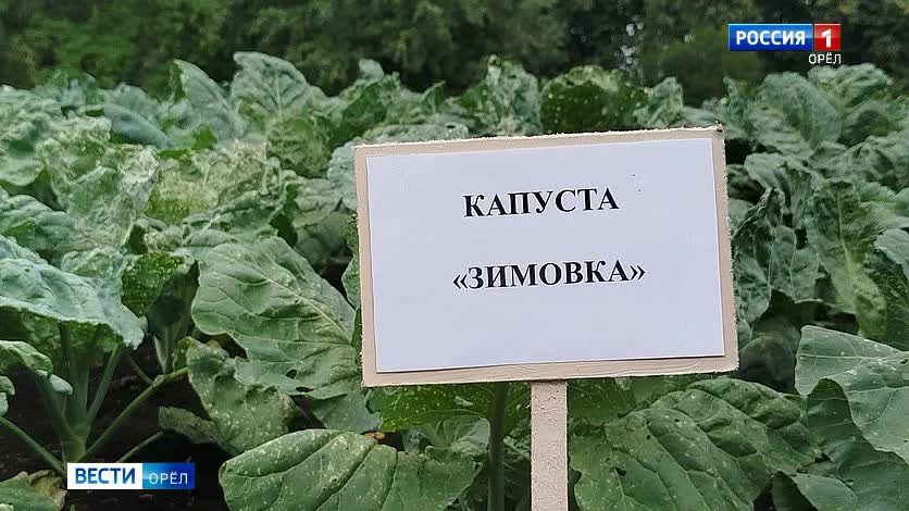 Сегодня во время рабочего визита в Знаменскую среднюю общеобразовательную школу Александр Бирюков осмотрел классы и оснащение учебных кабинетов Сегодня во время рабочего визита в Знаменскую среднюю общеобразовательную школу Александр Бирюков осмотрел классы и оснащение учебных кабинетов
