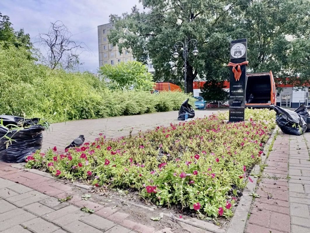 Орловские озеленители продолжают уход за городскими клумбами Орловские озеленители продолжают уход за городскими клумбами