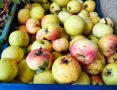 Как заинтересовать детей в фруктах и овощах: простые советы