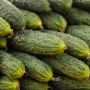Как избавиться от пятен на огурцах: советы для успешного урожая