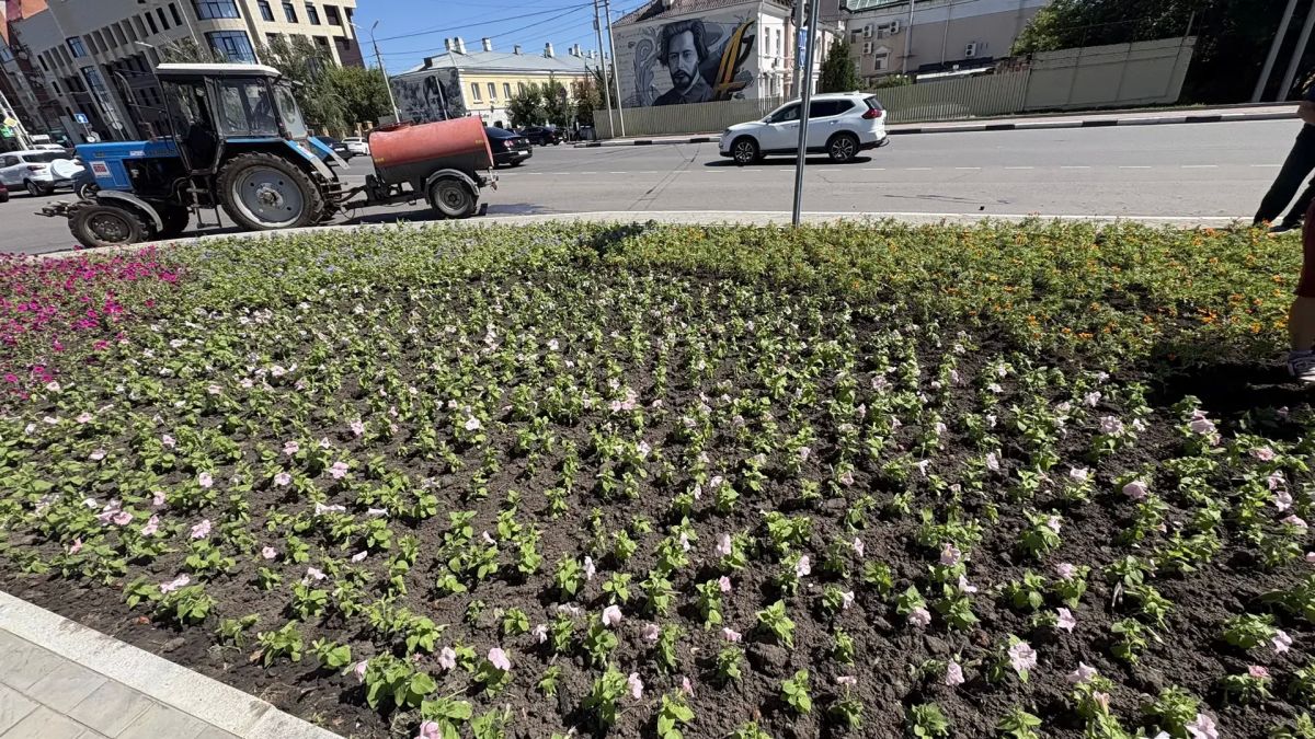 В Орле начали украшать цветами большую клумбу у «Трилистника» В Орле начали украшать цветами большую клумбу у «Трилистника»