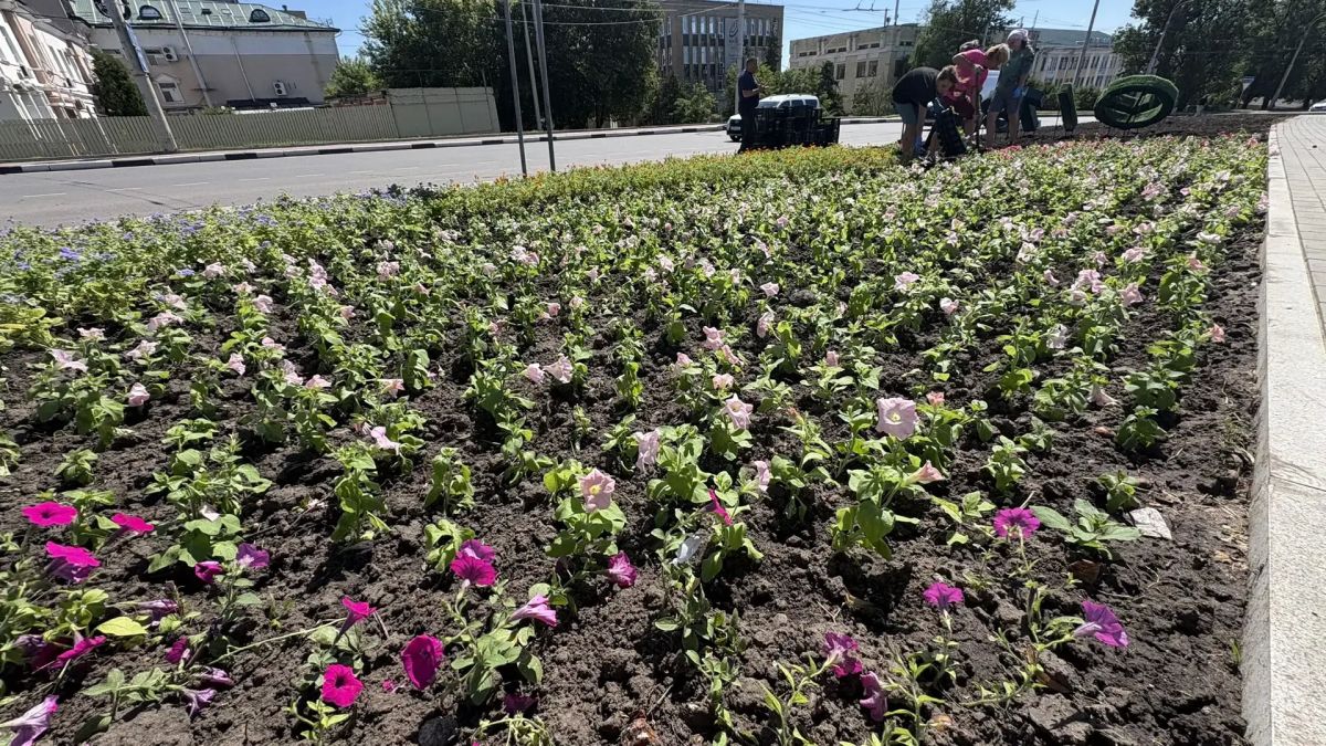 В Орле начали украшать цветами большую клумбу у «Трилистника» В Орле начали украшать цветами большую клумбу у «Трилистника»