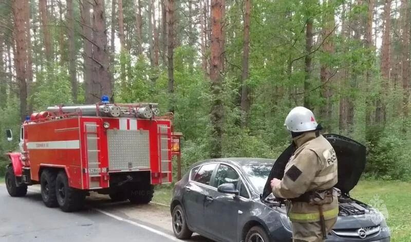 За сутки спасатели изъяли артснаряд и мину времён войны, а в Хотынецком районе на ходу загорелся автомобиль За прошедшие сутки сотрудники пожарно-спасательных подразделений Орловской области выезжали 15 раз, из них 8... За сутки спасатели изъяли артснаряд и мину времён войны, а в Хотынецком районе на ходу загорелся автомобиль За прошедшие сутки сотрудники пожарно-спасательных подразделений Орловской области выезжали 15 раз, из них 8...