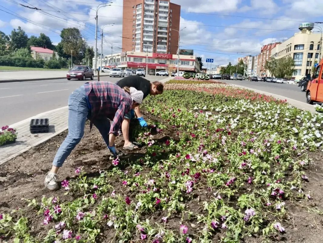 17 тысяч цветов украсили центральную клумбу на улице Брестской 17 тысяч цветов украсили центральную клумбу на улице Брестской