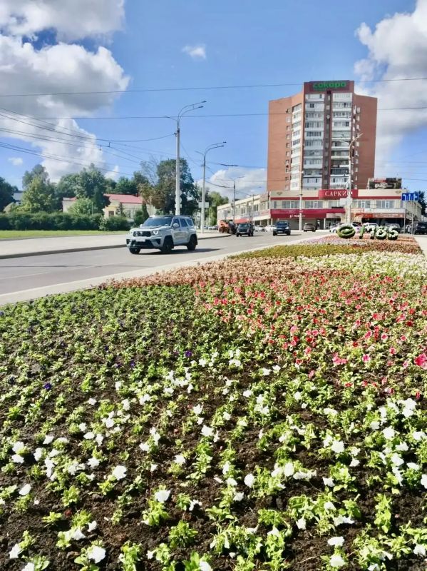 17 тысяч цветов украсили центральную клумбу на улице Брестской 17 тысяч цветов украсили центральную клумбу на улице Брестской