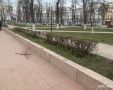 Заниматься демонтированным заборчиком из сквера Танкистов желающих нет