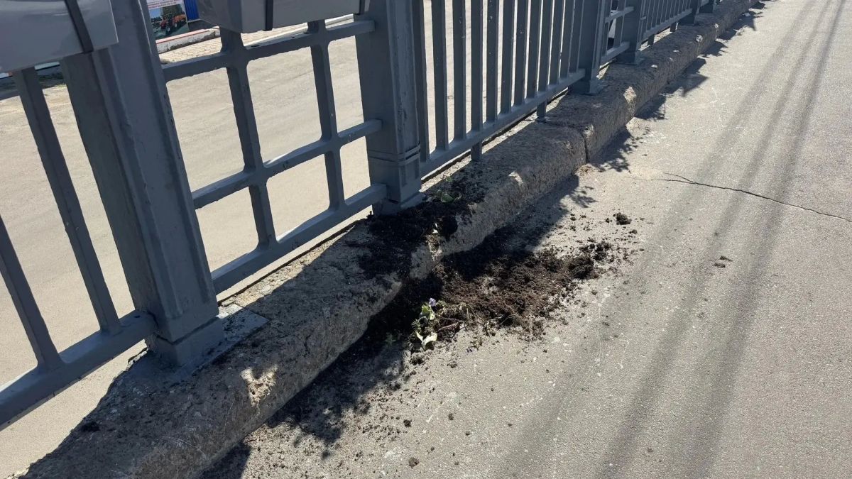 В Орле на Герценском мосту снова повредили цветочные кашпо В Орле на Герценском мосту снова повредили цветочные кашпо