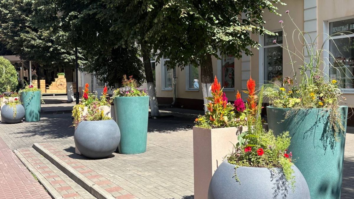 Фестиваль «Стрелка» открылся накануне Дня города в Орле Фестиваль «Стрелка» открылся накануне Дня города в Орле