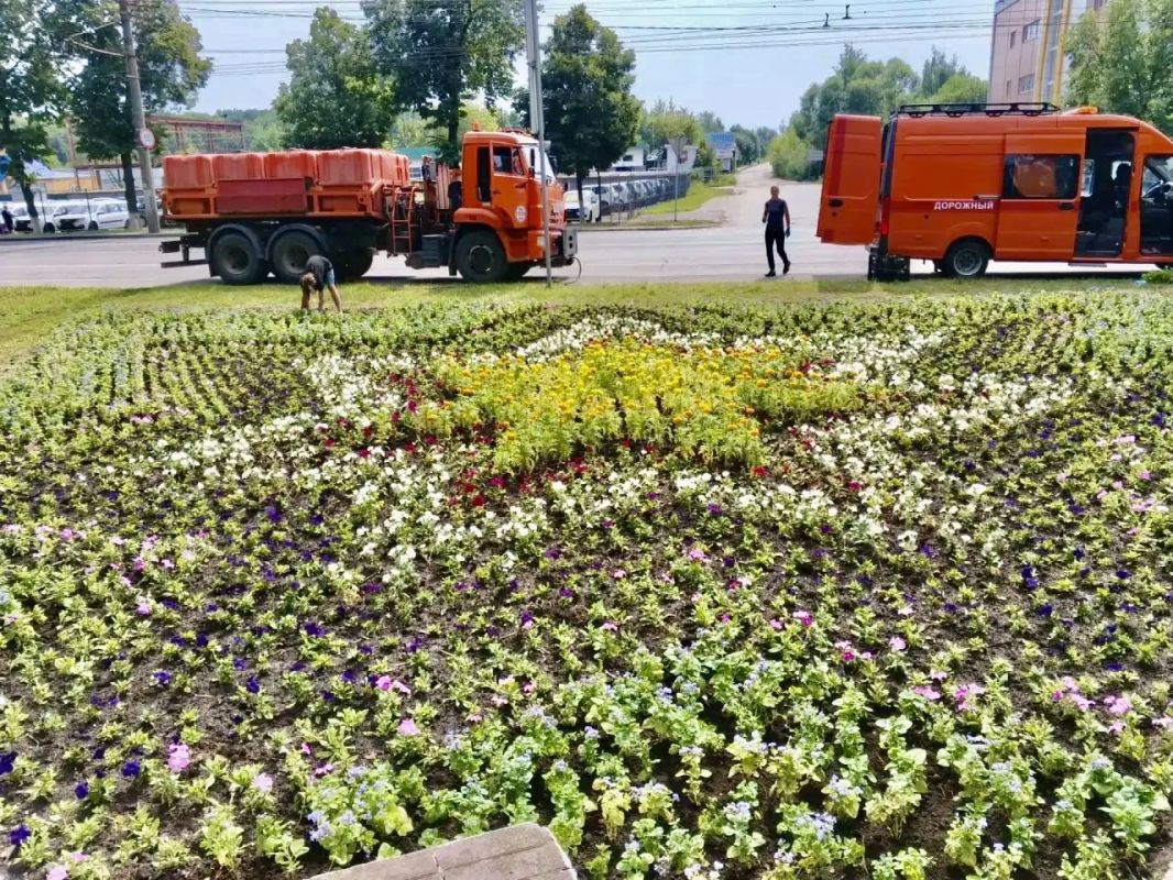 В Орле продолжается обновление городских клумб ко Дню города