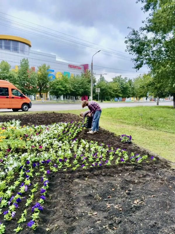 В Орле продолжается обновление городских клумб ко Дню города В Орле продолжается обновление городских клумб ко Дню города
