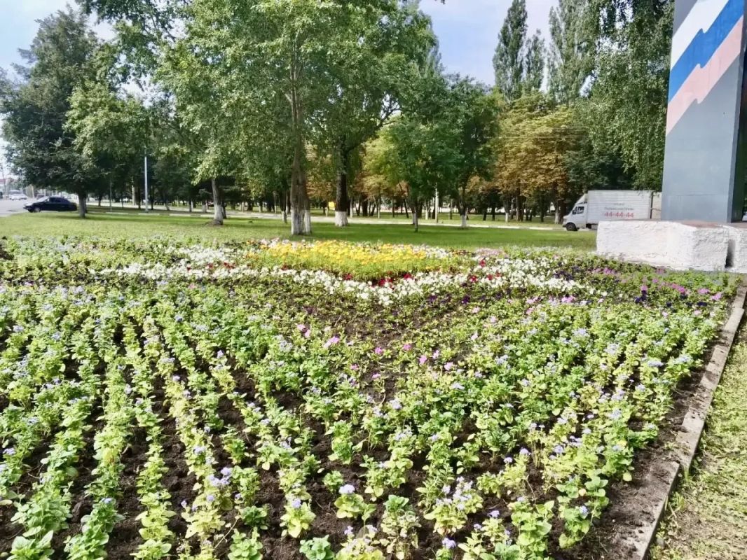 В Орле продолжается обновление городских клумб ко Дню города В Орле продолжается обновление городских клумб ко Дню города