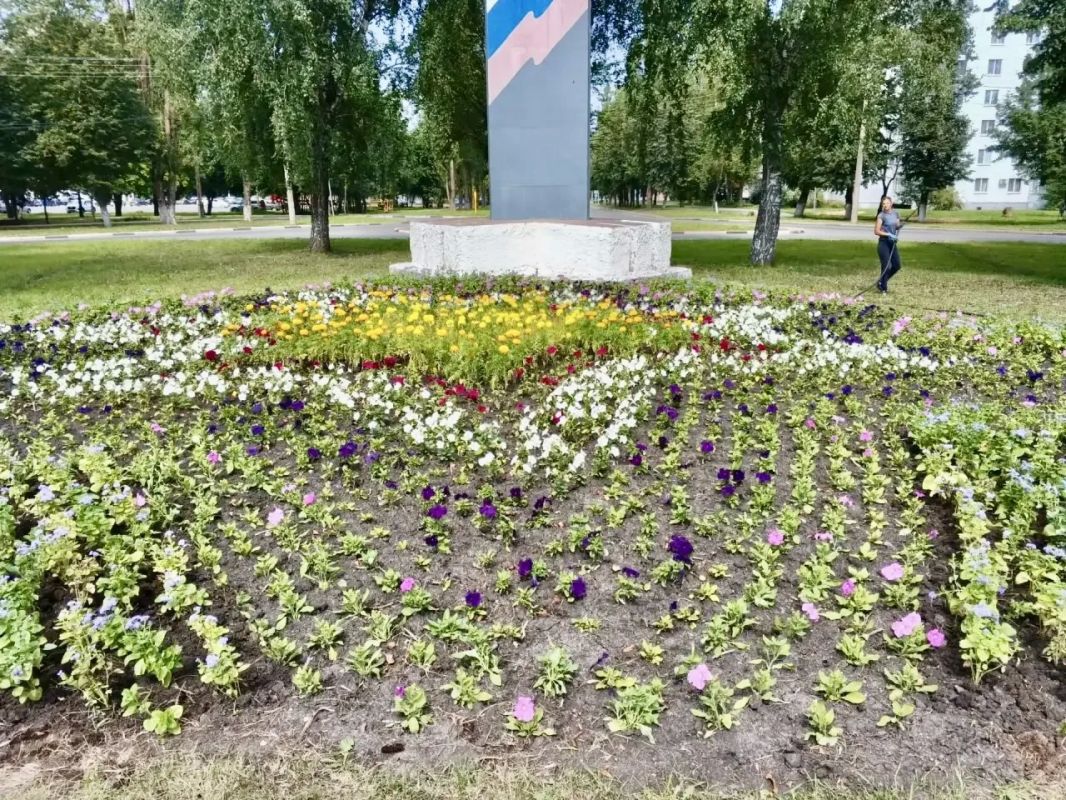 В Орле продолжается обновление городских клумб ко Дню города В Орле продолжается обновление городских клумб ко Дню города