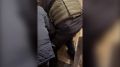 В Орле расследуют дело о хищении денег у предпринимателей из десяти регионов