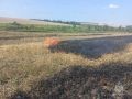 В Орловском районе уже 79-й случай подтверждённого возгорания на открытой территории в этом году