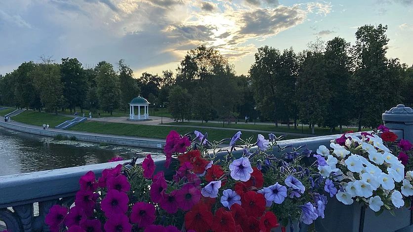 Орловцев предупреждают о возможных сильных порывах ветра