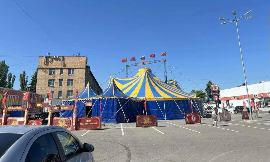 Животные в цирке-шапито «Феникс» в Орле жили в зверских условиях