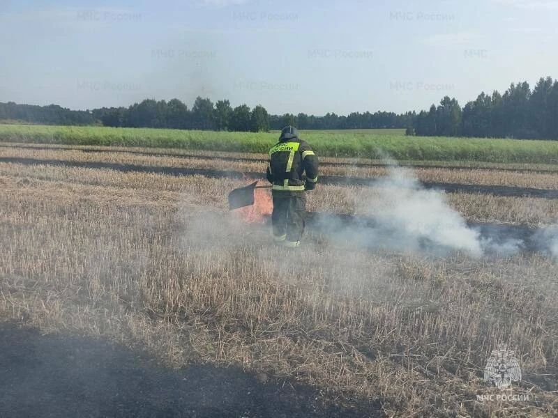 Принцип выжженной земли – в минувшую пятницу снова зафиксированы термоточки За прошедшие сутки орловские пожарно-спасательные подразделения выезжали 35 раз, из них 18 выездов на ликвидацию возгораний, 17 выездов на помощь... Принцип выжженной земли – в минувшую пятницу снова зафиксированы термоточки За прошедшие сутки орловские пожарно-спасательные подразделения выезжали 35 раз, из них 18 выездов на ликвидацию возгораний, 17 выездов на помощь...