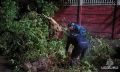 Холодный фронт ударил по Орловщине: 9 упавших деревьев, сбои в электроснабжении и работа аварийных бригад