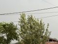 ����������� ����� �� �������� ���������� ����������� ��������� ������ � �������