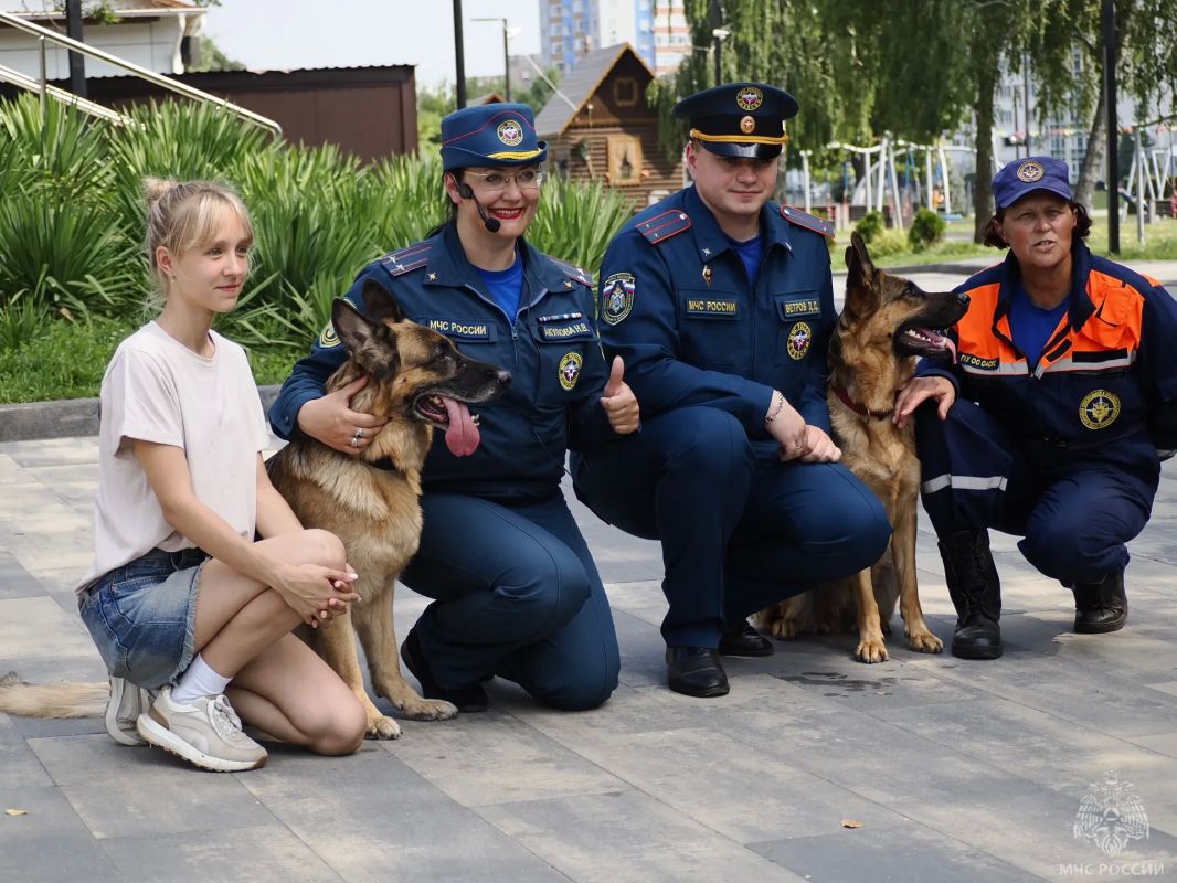 Безопасное лето с МЧС России: четвероногие спасатели учат детей и взрослых доброте и сочувствию Безопасное лето с МЧС России: четвероногие спасатели учат детей и взрослых доброте и сочувствию