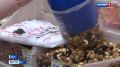 Орловский ветеран СВО открыл собственный магазин при помощи государства
