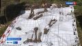 В Орловской области нашли захоронение взрослых и детей