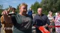 Большегрузы разбили дорогу между Кутафино и Красной Рощей в Кромском районе