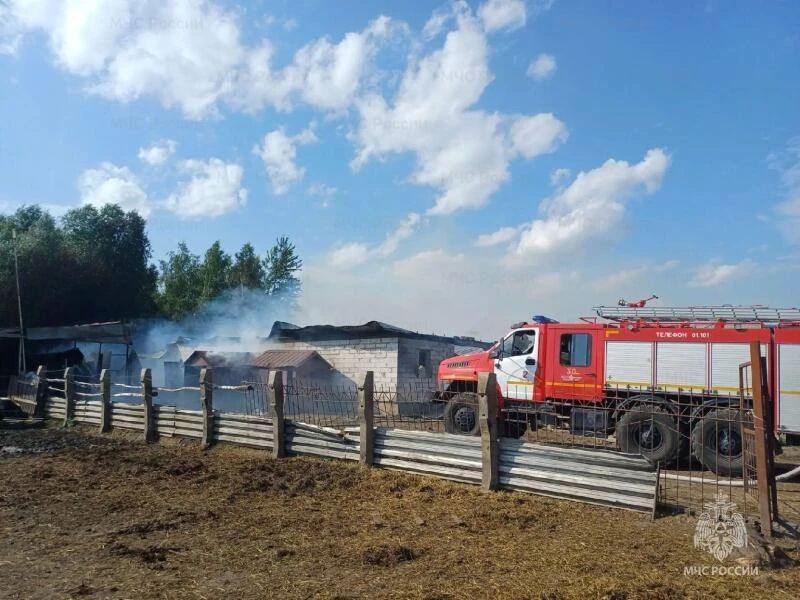 17 выездов за сутки: тушили дом, постройки, трактор и изъяли 9 ВОП времен войны За прошедшие сутки орловские пожарно-спасательные подразделения выезжали 17 раз, из них 10 выездов на ликвидацию возгораний и 7 выездов на... 17 выездов за сутки: тушили дом, постройки, трактор и изъяли 9 ВОП времен войны За прошедшие сутки орловские пожарно-спасательные подразделения выезжали 17 раз, из них 10 выездов на ликвидацию возгораний и 7 выездов на...