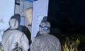 Под Орлом шершни захватили электроподстанцию