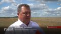 Более 1 миллиона 800 тысяч тонн зерновых и масличных культур собрали аграрии Орловского региона