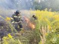 За выходные в Орловской области было зафиксировано 7 термоточек