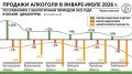 Каждый день как Виноградный: в Черноземье вырос спрос на готовые коктейли и настойки на фоне общего падения алкопродаж