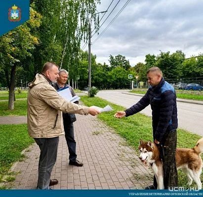 Орловчане раскритиковали "подобие бурной деятельности" от Управления ветеринарии и попросили обратить внимание прокуратуру