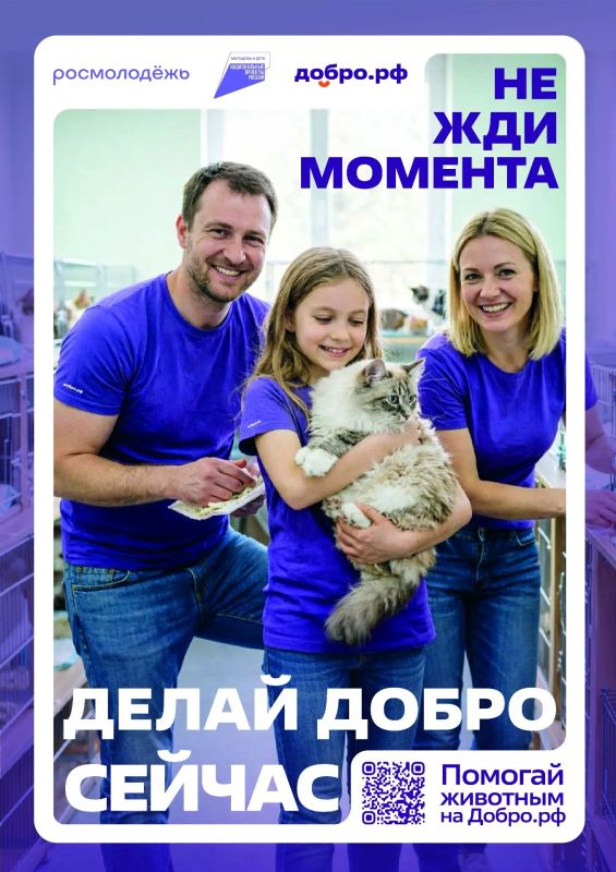 Работа добровольцев, благодаря поддержке государства, стала организованной и приносит больше пользы Работа добровольцев, благодаря поддержке государства, стала организованной и приносит больше пользы