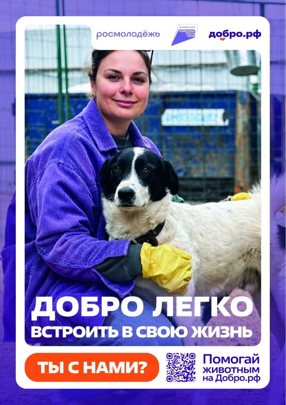 Работа добровольцев, благодаря поддержке государства, стала организованной и приносит больше пользы Работа добровольцев, благодаря поддержке государства, стала организованной и приносит больше пользы