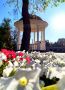 Доброе утро, друзья!. Сегодня синоптики обещают пасмурную погоду Днм будет +19°С Атмосферное давление 751 мм рт. ст. Ветер северо-восточный, дует со скоростью 1 м/с