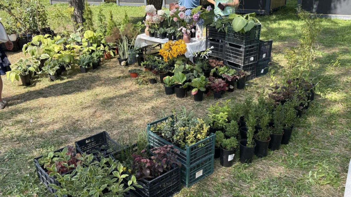 В Орле в сквере Семьи открылся «Нескучный сад» В Орле в сквере Семьи открылся «Нескучный сад»
