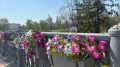 Первая рабочая неделя осени на Орловщине будет теплой