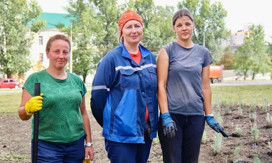 Полторы тысячи кустиков лаванды украсят центр Орла Полторы тысячи кустиков лаванды украсят центр Орла