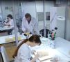 Специалисты Орловской лаборатории ФГБУ «ВНИИЗЖ» проверили 134 образца пищевой продукции на наличие сальмонелл