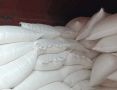 В августе Орловская область закупила в Белоруссии более 220 тонн ржаной муки