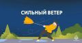 На Орловщине ожидаются порывы ветра до 20 м/с