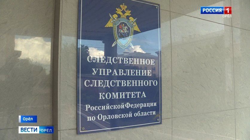 Орловчанка предстанет перед судом за издевательства над сыном