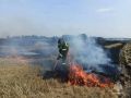 15 выездов за сутки: тушили стерню в полях и помогали населению За прошедшие сутки орловские пожарно-спасательные подразделения выезжали