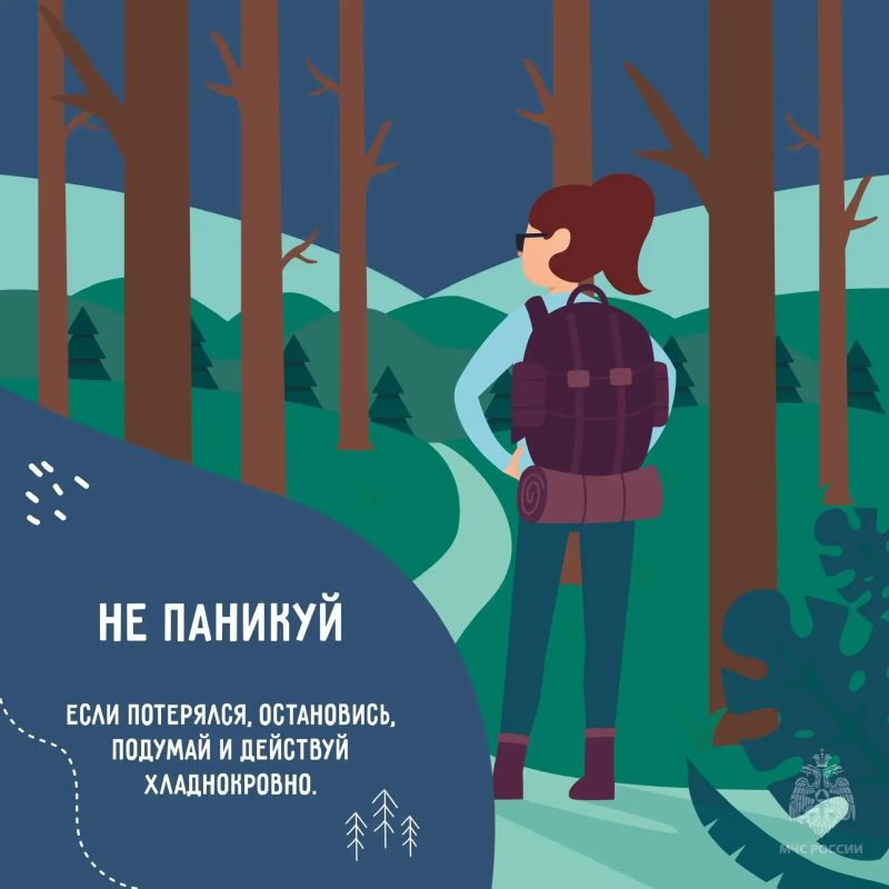 В лес - безопасно. Осень - это время для походов, сбора ягод и грибов, но лес коварен, заблудиться в нём легко В лес - безопасно. Осень - это время для походов, сбора ягод и грибов, но лес коварен, заблудиться в нём легко