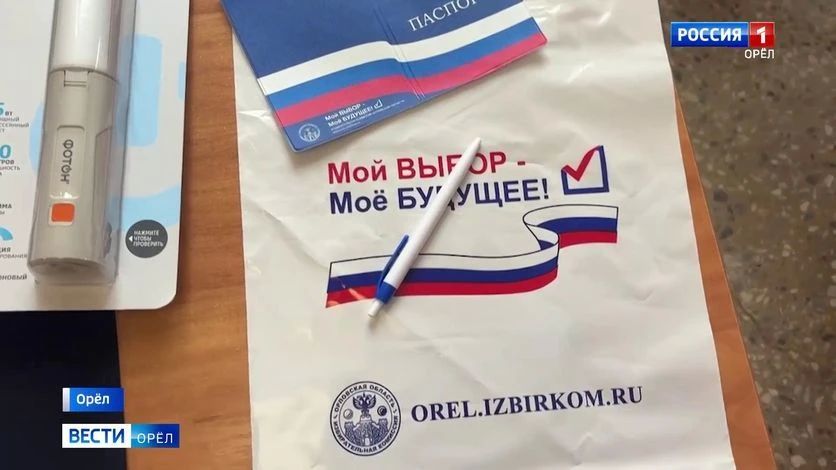ЦИК России опубликовал явку за два с половиной избирательных дня в Орловской области
